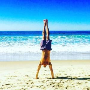 Meet your Posher, Henrique